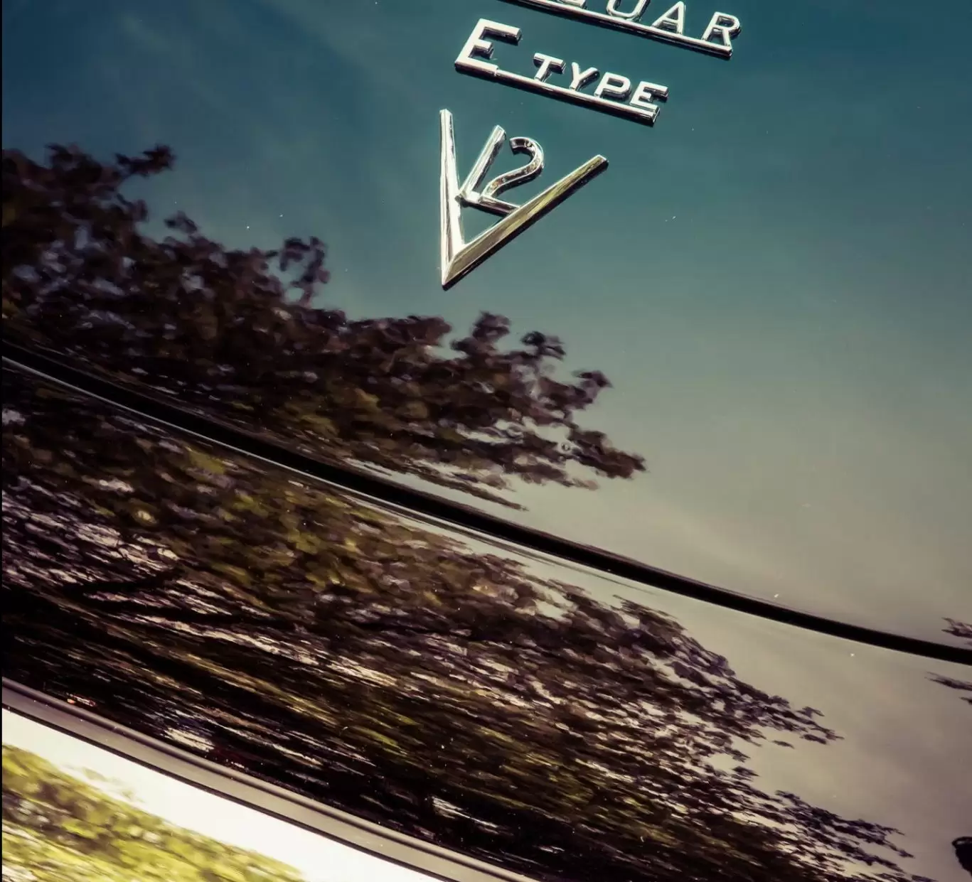 Jaguar E Type logo