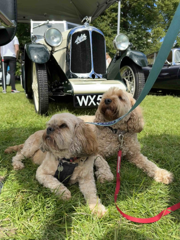 Austin Swallow at Classics at the Spa 2024